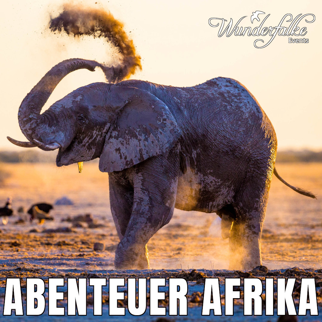 BEPPO NIEDERMEIER LIVE: „Abenteuer Afrika“