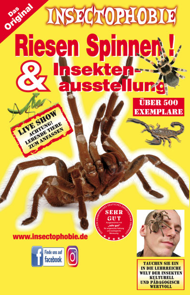 Insectophobie